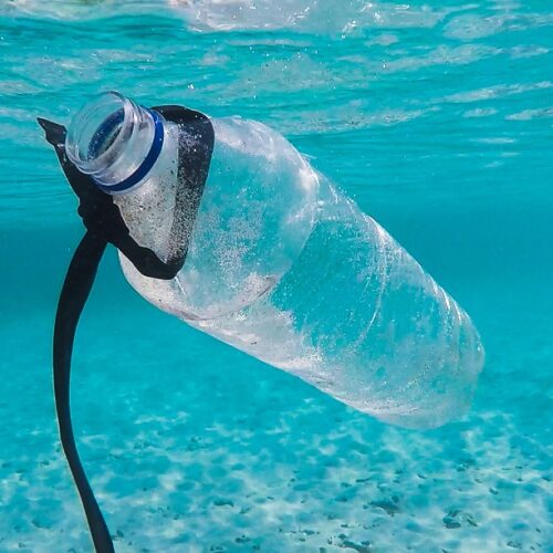 Copertina articolo Troppa plastica in mare! Le conseguenze e alcune soluzioni per ridurne l’uso